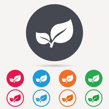 Yaprak simgesi. Taze organik ürün işareti.