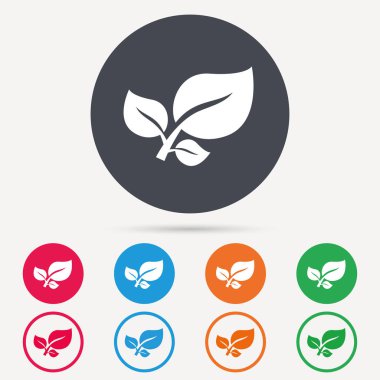 Yaprak simgesi. Taze organik ürün işareti.