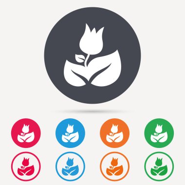 Gül çiçek simgesi. Çiçekçi bitki yaprağı işareti ile.