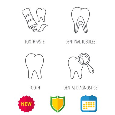 Diş, diş tanılama ve diş macunu simgeler.