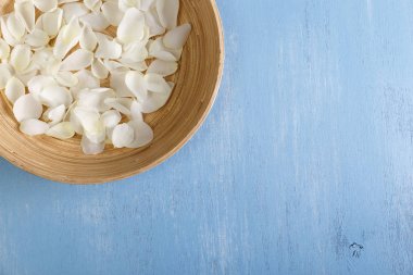 Mavi ahşap arka plan üzerinde beyaz gül yaprakları.