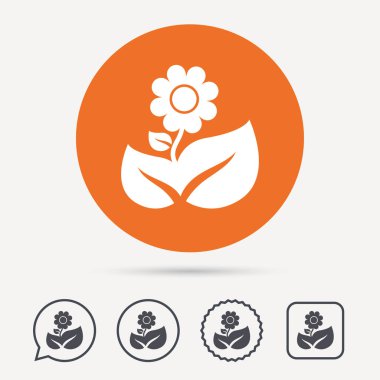 Çiçek simgesi. Çiçekçi bitki yaprağı işareti ile.