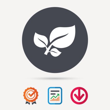 Yaprak simgesi. Taze organik ürün işareti.