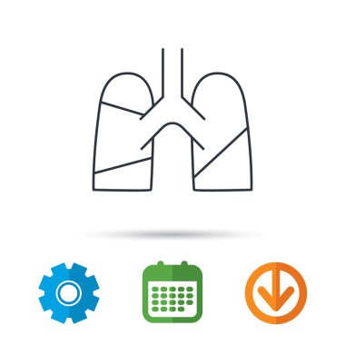 Akciğerler simgesi. Nakli organ işareti.
