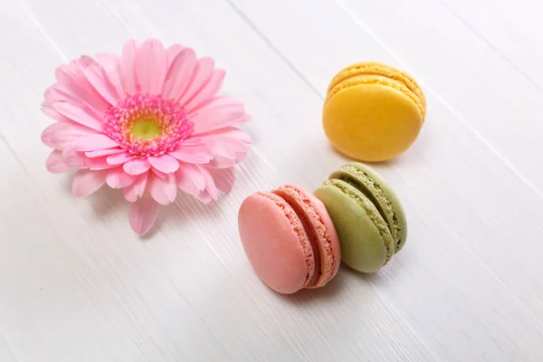 Makronenkuchen mit rosa Gerbera-Blüte. — Stockfoto