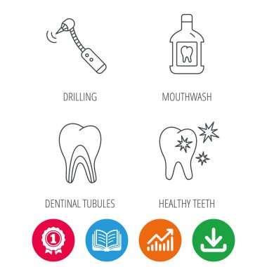 Diş, diş macunu ve dentinal tübüllerin simgeler.