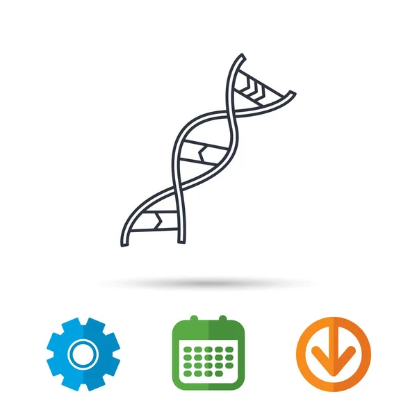 Ícone de ADN. Sinal de estrutura genética . — Vetor de Stock