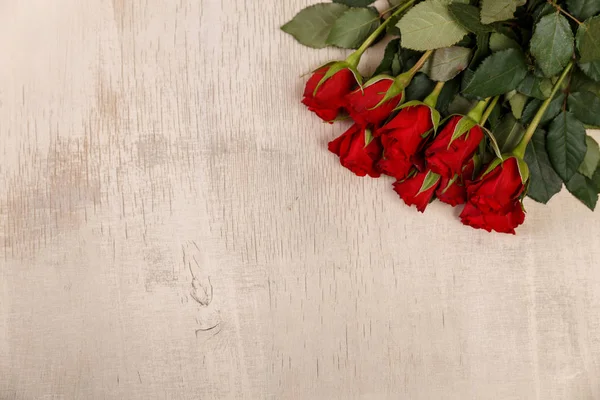 Rudá růže na dřevěné pozadí. Láska design. — Stock fotografie