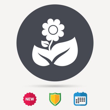 Çiçek simgesi. Çiçekçi bitki yaprağı işareti ile.