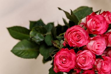 Pembe Gül arka plan. Taze çiçekler buket.