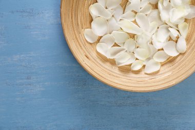 Mavi ahşap arka plan üzerinde beyaz gül yaprakları.