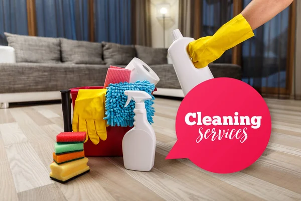 Cleaning service. Sponges, chemicals and plunger.