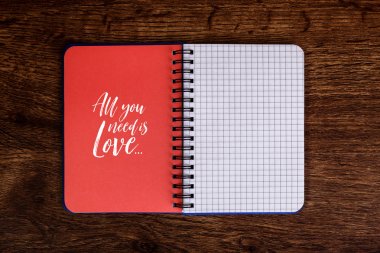 Not Defteri ile tek ihtiyacınız aşk metindir. Mockup.