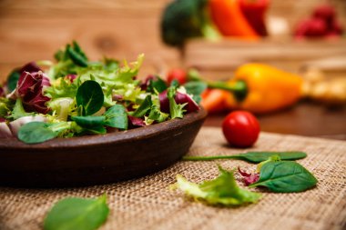 Hindiba, kuzu ve gül salata. Sebze.