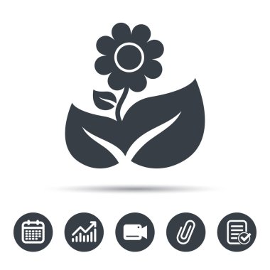 Çiçek simgesi. Çiçekçi bitki yaprağı işareti ile.