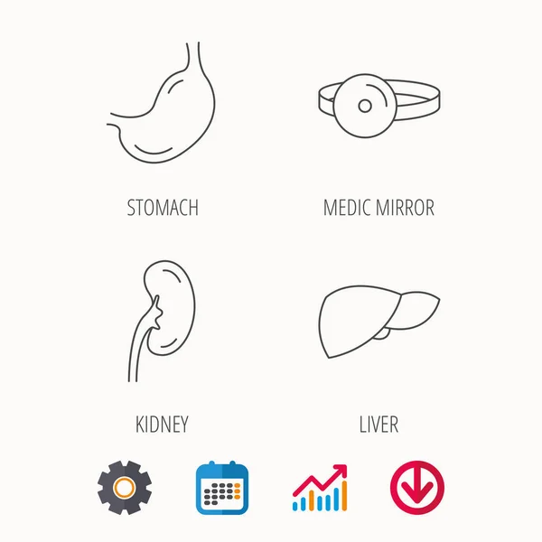 Kidney, liver and stomach organ icons. — Stock Vector