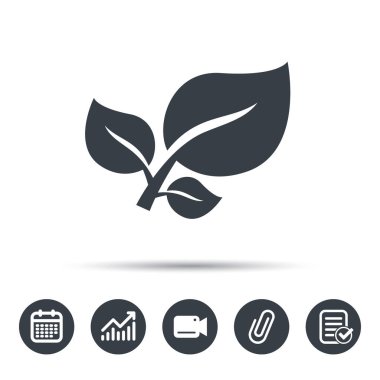 Yaprak simgesi. Taze organik ürün işareti.