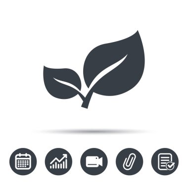 Yaprak simgesi. Taze organik ürün işareti.