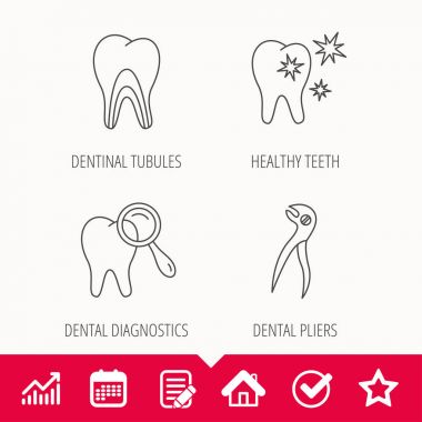 Sağlıklı dişler, dentinal tübüllerin ve pense simgeler.