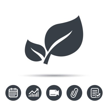 Yaprak simgesi. Taze organik ürün işareti.