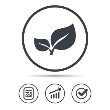 Yaprak simgesi. Taze organik ürün işareti.