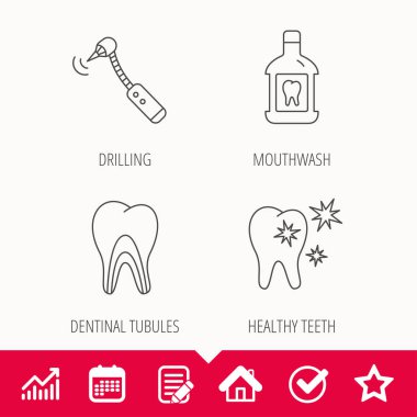 Diş, diş macunu ve dentinal tübüllerin simgeler.