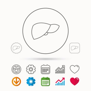 Karaciğer simgesi. Nakli organ işareti.