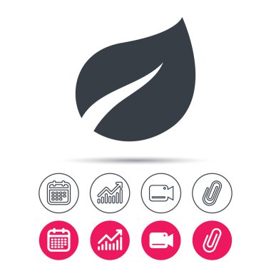 Yaprak simgesi. Taze organik ürün işareti.