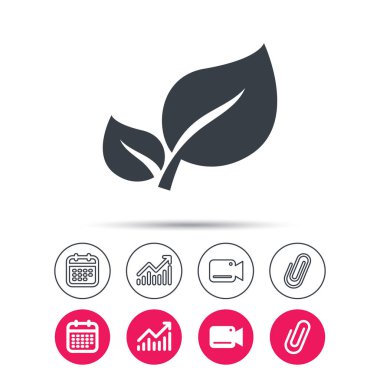 Yaprak simgesi. Taze organik ürün işareti.