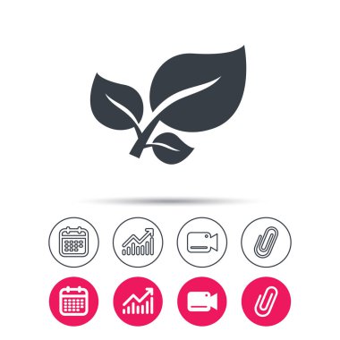 Yaprak simgesi. Taze organik ürün işareti.