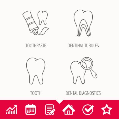 Tooth, dental diagnostics and toothpaste icons. clipart