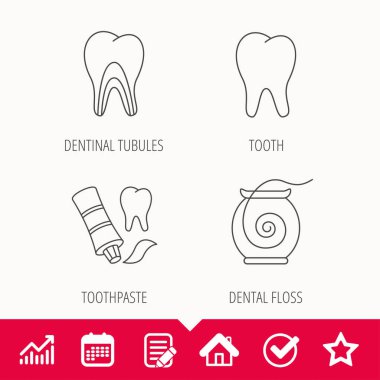 Diş, dentinal tübüllerin ve diş ipi simgeler.