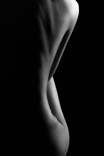 Mujer desnuda cuerpo sexy. Chica hermosa sensual desnuda. Foto artística en blanco y negro. —  Fotos de Stock