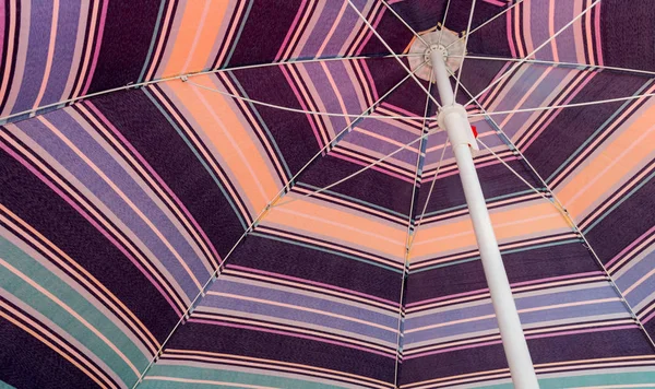 ภายใต้ร่ม — ภาพถ่ายสต็อก