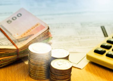 Tay sikkeleri üzerinde tablo