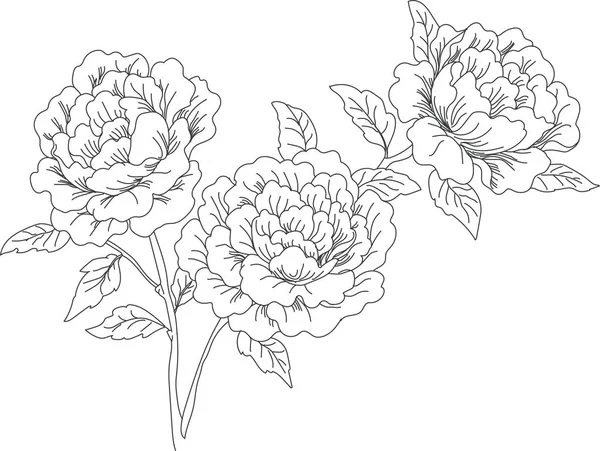 Kwiaty Sylwetki Kwiatowe Rysowane Przez Linię — Wektor stockowy