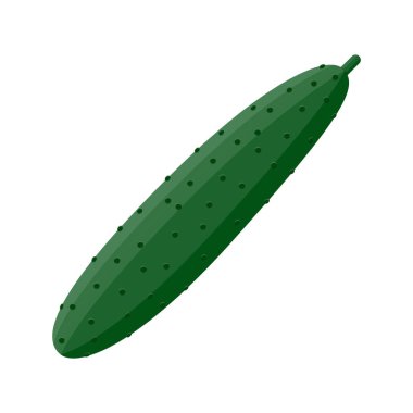 Salatalık sebze üzerinde beyaz izole