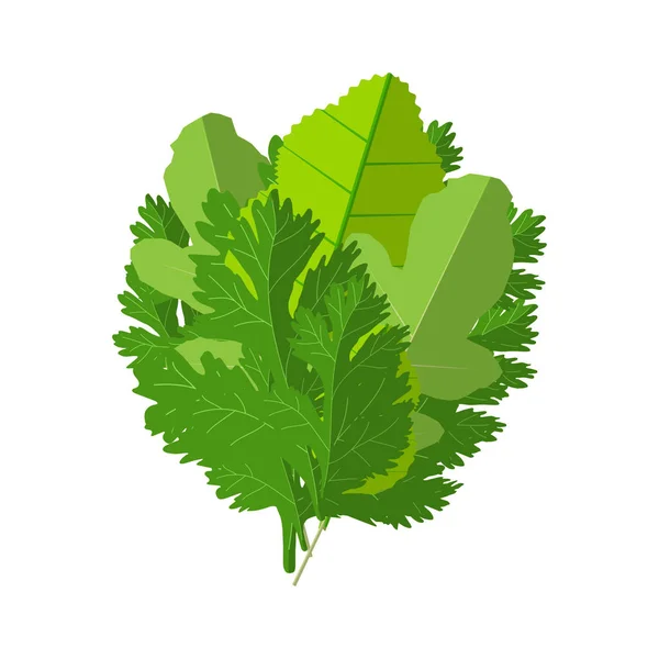 Fresh green salad — Stock Vector