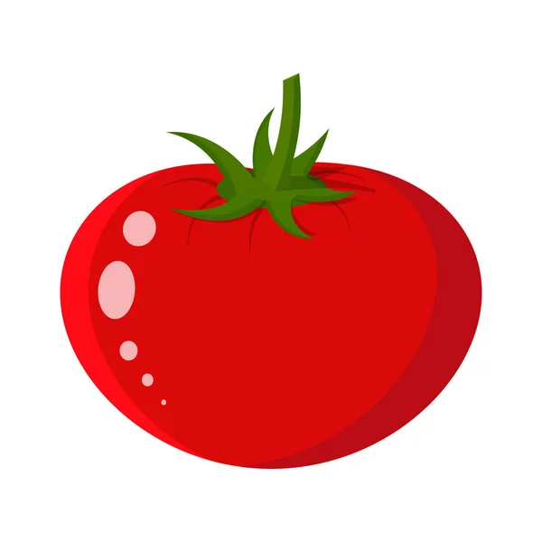 Vegetales de tomate aislados en blanco — Vector de stock