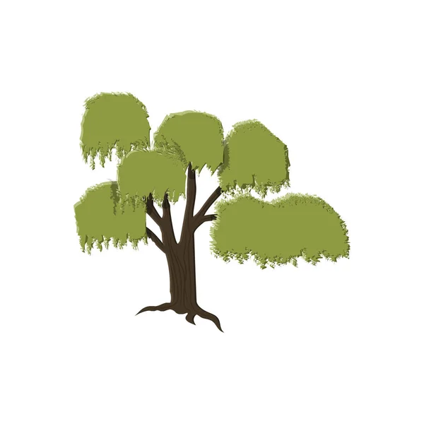Δέντρο ιτιάς που απομονώνονται σε λευκό — Διανυσματικό Αρχείο