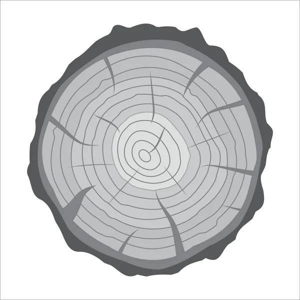 Поперечное сечение пня или ствола дерева. Резка древесины . — стоковый вектор