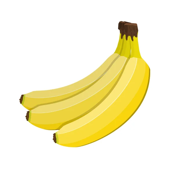 Bouquet de bananes isolé sur blanc. — Image vectorielle
