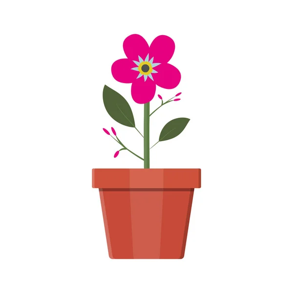 Planta de flor em vaso de flores. Decoração planta home . — Vetor de Stock