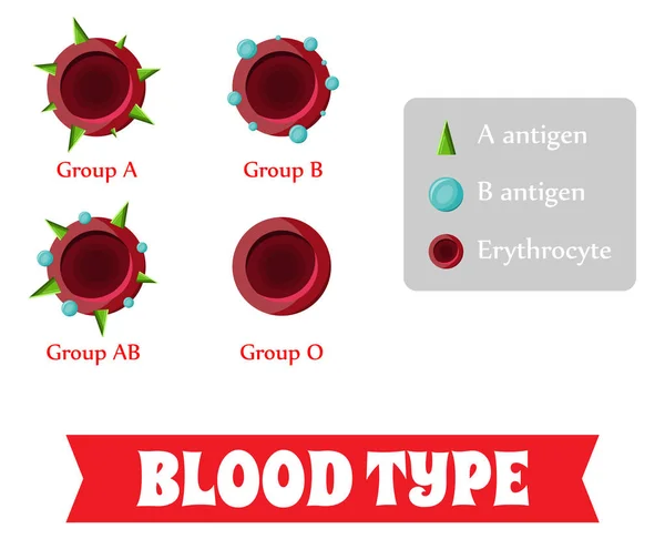 Grupo sanguíneo. Tipo de sangre . — Vector de stock