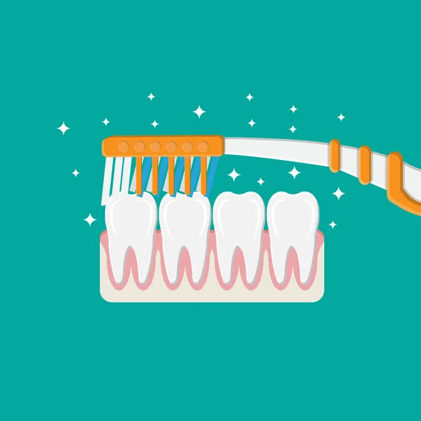 Зубная щетка чистит зубы. Чистка зубов . — стоковый вектор