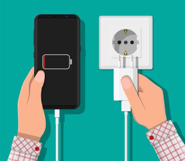 Akıllı telefon ve şarj adaptörü.
