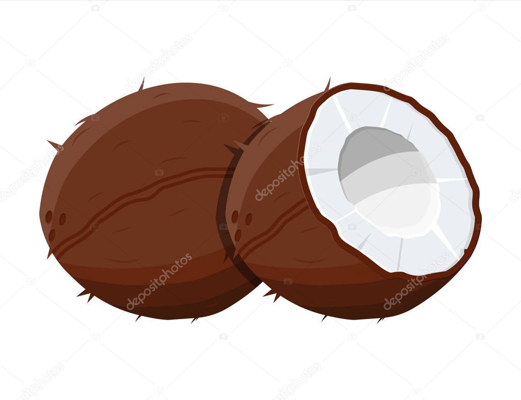 Ripe coconuts and half coconut on white.