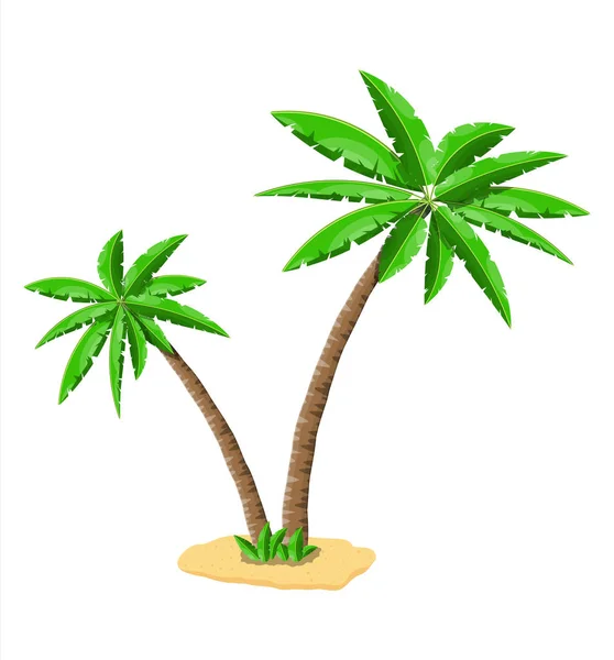 Tropische grüne Palme. Dschungel — Stockvektor