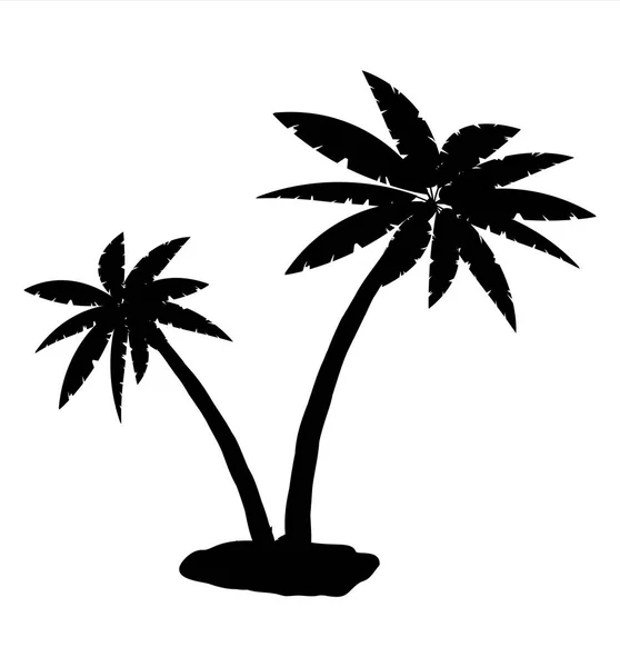 Tropische Palmensilhouette — Stockvektor