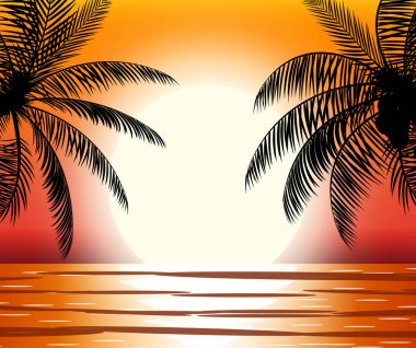 Plajda palmiye ağacı silüeti.